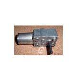 Worm Gear Motor thumbnail-1