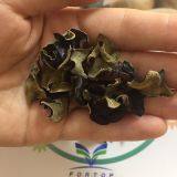 Factory Price Thin Dried White Back Black Wood Ear Fungus Mushroom Cubes (Dices) A Grade thumbnail-2