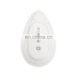 Renlang Skin Iron Wrinkle Removal Beauty Massage Facial Lifting Tightening Wrinkle With Red Light thumbnail-4