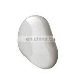 Mirror Polish SPI-A1 Surface Treatment Plastic Cover