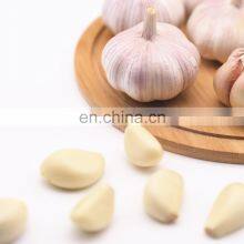 Low Price Fresh Garlic for Wholesale thumbnail-3