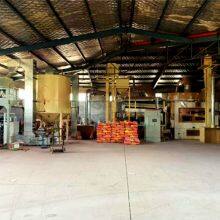 Hebei Dayu Seeds Co.,Ltd. company overview - view 3 thumbnail