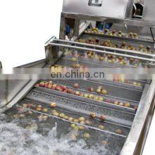 Apple Juice Production Line/fruit Pulp Processing Machine thumbnail-2