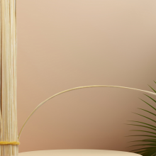 Bamboo sticks are 1.3 sized, mm thick and 8 inches long