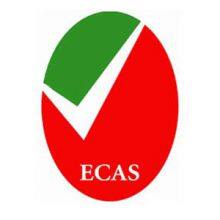UAE ECAS Certification: Conformity Assessment and ESMA Mark Application Process thumbnail-1