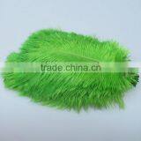 Wholesale Green Ostrich Plumes Feathers, Ostrich Plumes, Decorative Ostrich Feathers for Wedding thumbnail-2