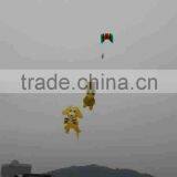 Large Kites Made in China