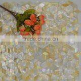 Yellowlip Sea Shell Mix Freshwater Mother of Pearl Mosaic, Seamless on Mehs,bathroom Wall Tile