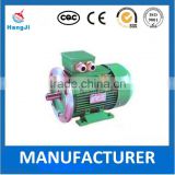 Electric motor for steel plant