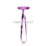 Custom Logo Dog Leash Nylon Dog Leash thumbnail-1