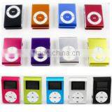 Shenzhen Haizhi Trading Company Ltd. company overview - view 3 thumbnail