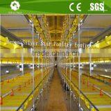 Automatic Battery Poultry Chicken Cage for Meat Broilers