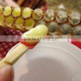 ISO Factory Supply Best Royal Jelly thumbnail-5
