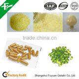 Medical Gelatin 150-250bloom for Making Capsule or Tablet