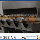 Continuous Spraying Pasteurizer