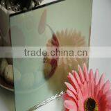 Building Glass thumbnail-1