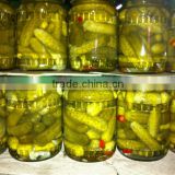 EXPORT PICKLE CUCUMBER WITH THE BEST PRICE IN VIET NAM.
