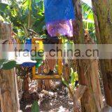 Wholesale Fruit Protection Bags thumbnail-3