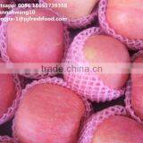 2016 Fresh Fuji Apple thumbnail-3