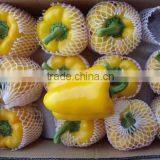 Fresh Colored Bell Pepper thumbnail-1