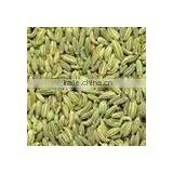 Indian Fennel Seeds thumbnail-4