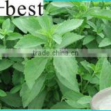 Stevia leaves extract powder 90%