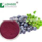 FDA and ISO Certified Plant Extract Manufactuerer Supply High-quality Blueberry Fruit Powder Vaccinium Uliginosum L.