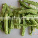 VF Celery thumbnail-1