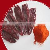 Red Chilli Pepper powder 2012 crop