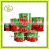 china-wholesale, best tomato paste brands, gino tomato paste, tomato paste factory