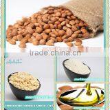 High Quality Sweet Apricot Kernels Made in China. thumbnail-3