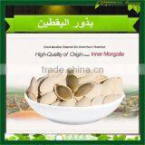 2015 New AA Pumpkin Seed Kernels thumbnail-2