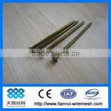 Concrete Steel Nail thumbnail-1