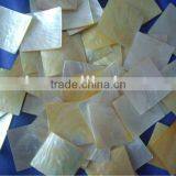 Polished Gold Mop Shell Slice