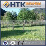China Supplier Dog Fence Netting(Direct Factory) thumbnail-3
