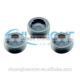 Customized gas cap pipe fittings