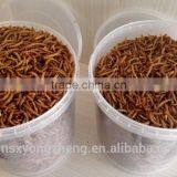 Natural Balance Pet Food Supplies Mealworms thumbnail-5