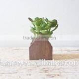 House Planter Pot - Wooden Herb Succulents Box Container Succulent Flower Wooden Planter Handmade Air Plant thumbnail-4