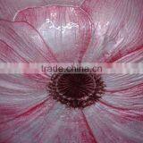 Decorative Aluminum Enamel Fruit Bowl thumbnail-3