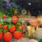 Home Garden Decorative Cheap 2m Height Artificial Huge Costume Fruits Red Bulk Strawberries EC08 0407 thumbnail-1