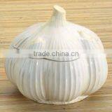 Garlic Bulb Storage Container thumbnail-1