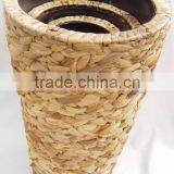 Flower Pot thumbnail-1