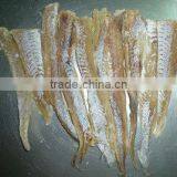 Fish Snack thumbnail-1