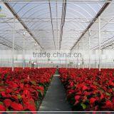 Hot Sale Flower Polycarbonate Tunnel Greenhouse thumbnail-1