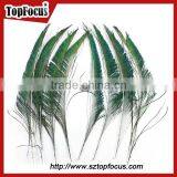 Cheap Down Raw Material Green Natural Peacock Feather for Sale thumbnail-5