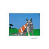 Sell Pet Vest thumbnail-1