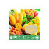 Mango Juice Powder thumbnail-1