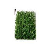 Guangzhou Lioner Sports Equipment Co;Ltd company overview - view 1 thumbnail