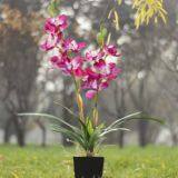 Modern Artificial Pink Orchid Arrangements thumbnail-2