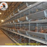 Ghana Poultry Farm & Chicken Farming Battery Chicken Cage & Layer Cage & Chicken Coop & Laying Hen Cage with 112 birds in Poultry House
